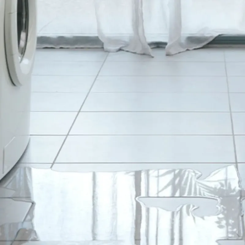 Appliance Leak Cleanup in Oak Park, IL