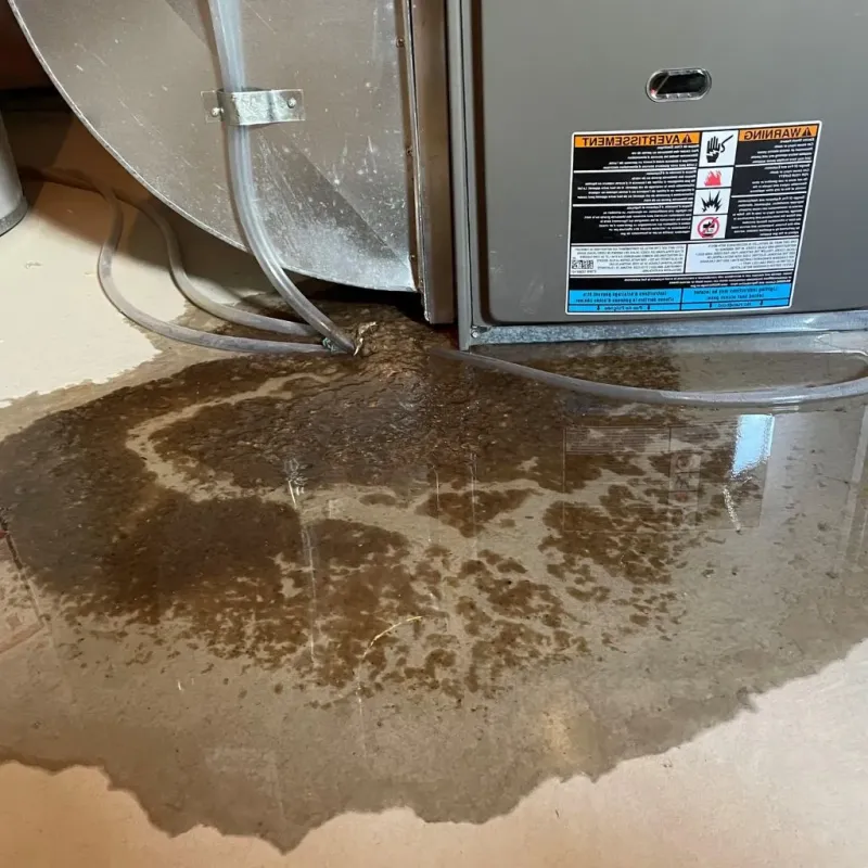Pipe Burst and Leak Restoration in Oak Park, IL